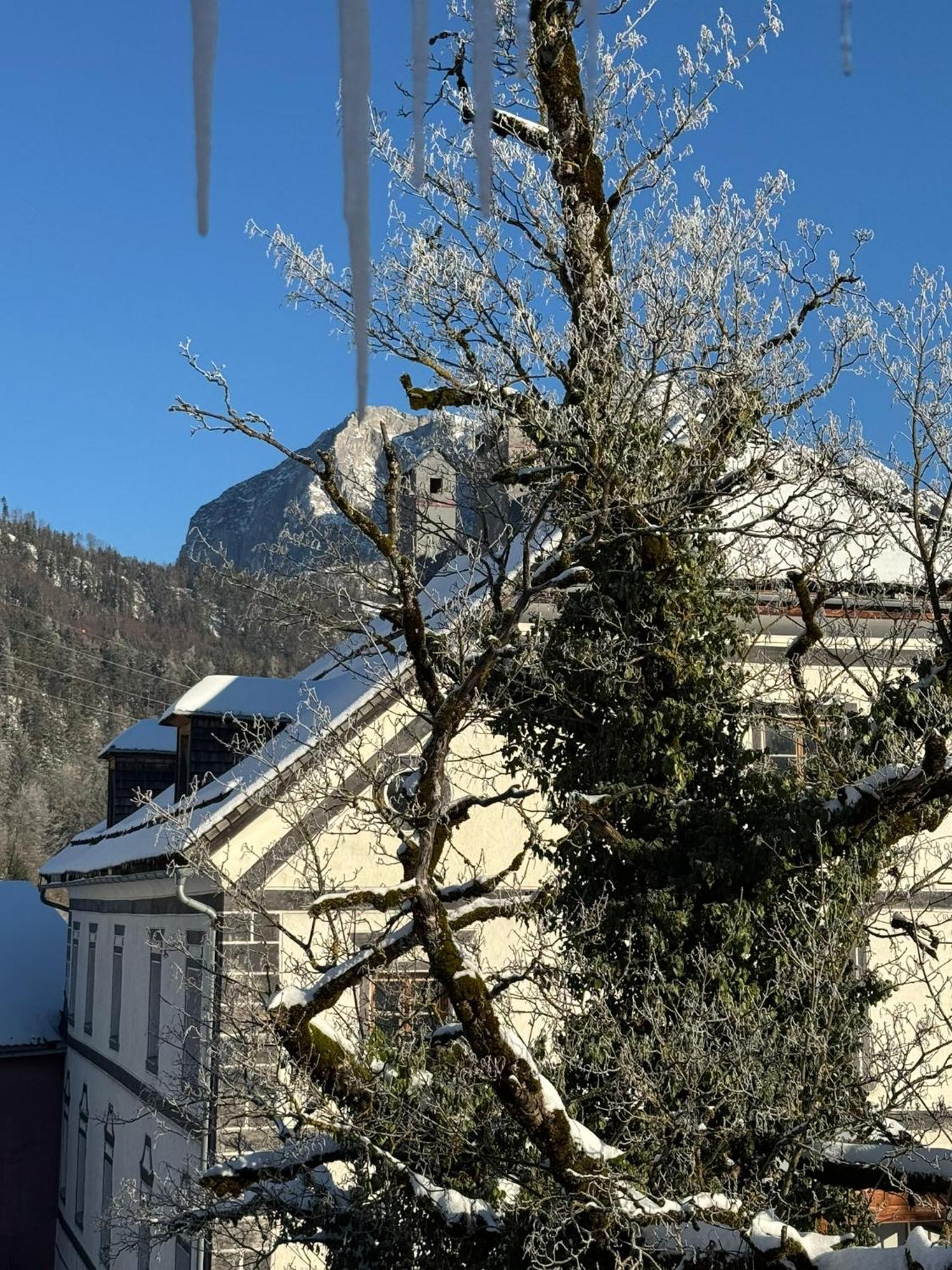 Podenhaus Bad Aussee Bagian luar foto